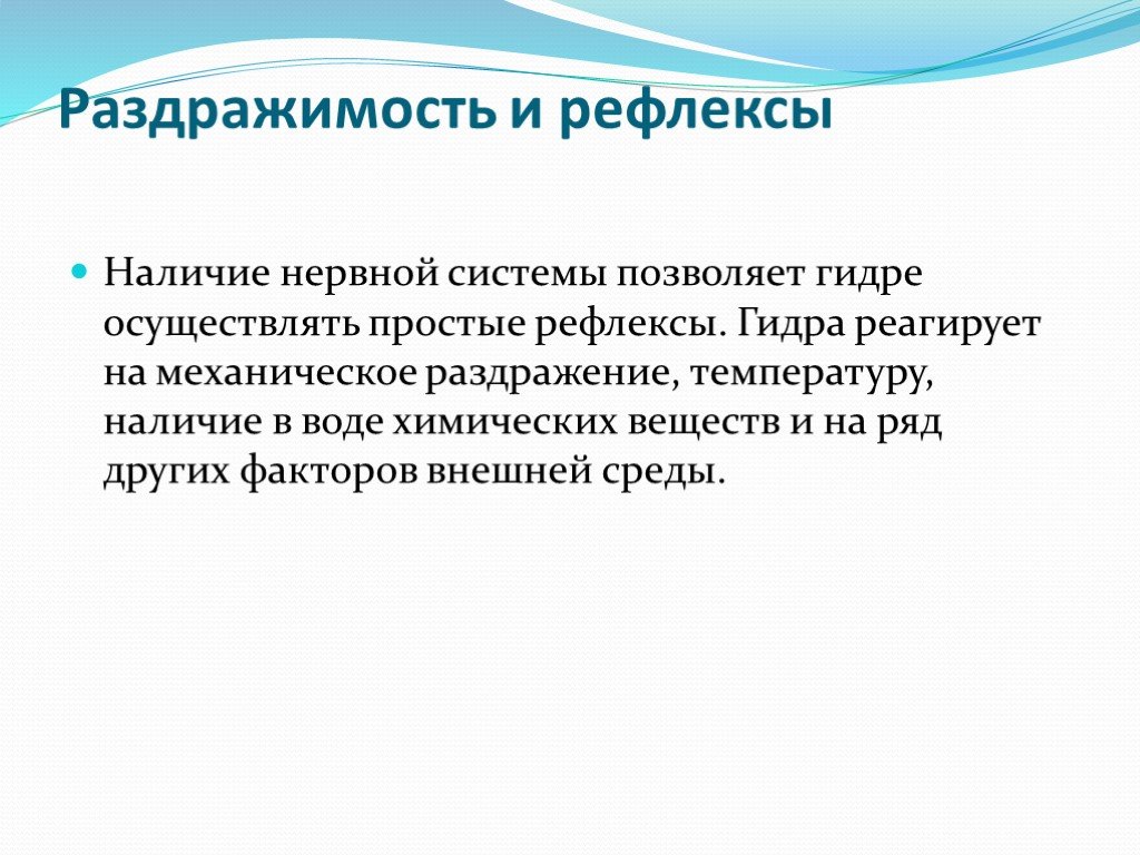 Кракен наркоторговец